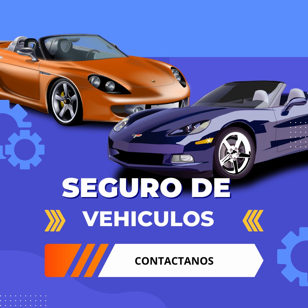 Seguro de Vehiculos